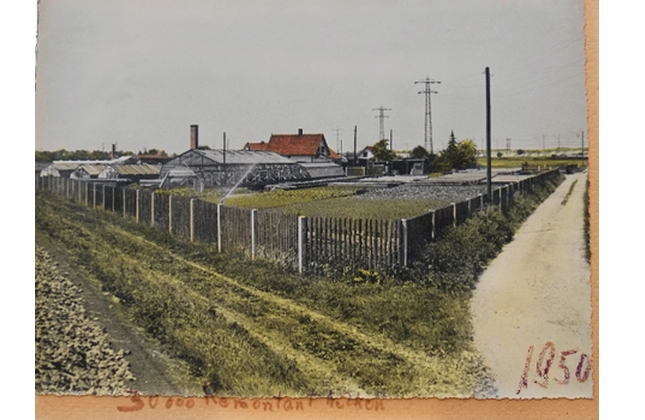 Blumengärtnerei Bunzel 1950