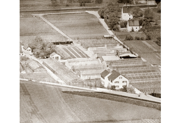 Gärtnerei Bunzel nach 1957