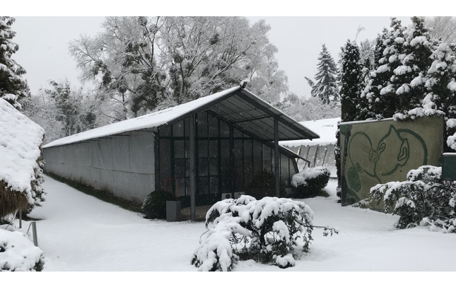 Winter im Botanikum