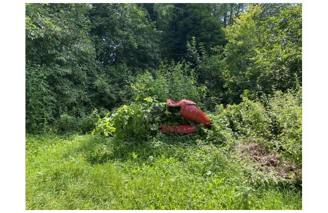 Doch ein Baum fiel um 2024